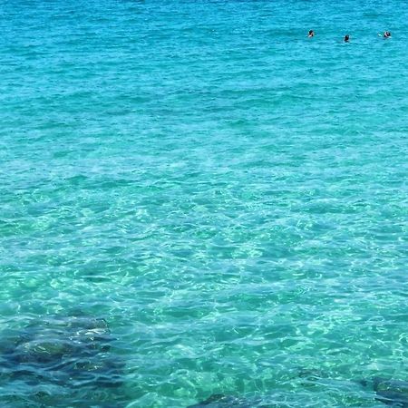 Casa Luce Lägenhet Monopoli Exteriör bild
